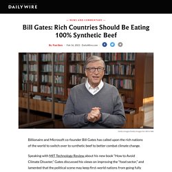 Bill Gates: Rich Countries Should Be Eating 100% Synthetic Beef