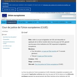 Cour de justice de l'Union européenne (CJUE)