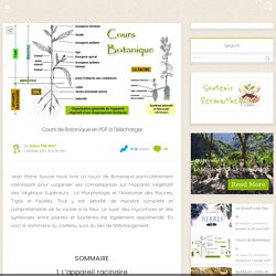 Cours de Botanique en PDF à Télécharger