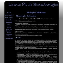 Cours Licence Pro