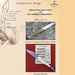 Coutellerie Nuage, Alex Dubois, artisan d'art coutelier