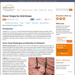 Cover Crops for Arid Areas