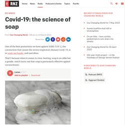 -19: the science of soap