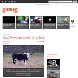 Cow Power potential is no bull