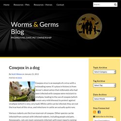 WORMS AND GERMS BLOG 21/01/11 Cowpox in a dog