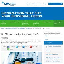 BI, CPM, and budgeting survey 2015