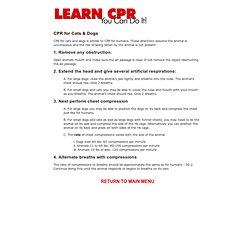 CPR Instructions Cats And Dogs