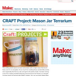 blog : CRAFT Project: Mason Jar Terrarium