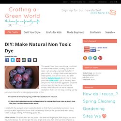 DIY: Make Natural Non Toxic Dye