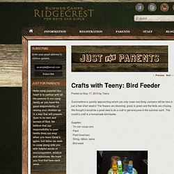 Crafts with Teeny: Bird Feeder