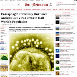 CrAssphage: Previously Unknown Ancient Gut Virus Lives in Half World's Population