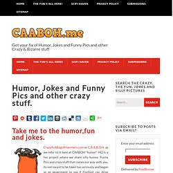 Humor, Fun, laughs and downright Crazy goings on! - Crazy as a Bag of Hammers - Crazy