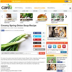 Creamy Spring Onion Soup Recipe