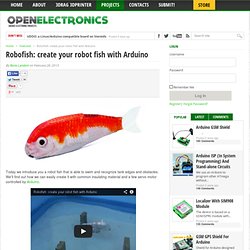 create your robot fish with Arduino