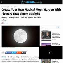 Create Your Own Magical Moon Garden With Flowers That Bloom at Night