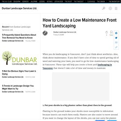 How to Create a Low Maintenance Front Yard Landscaping