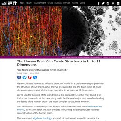 The human brain can create structures in up to 11 dimensions