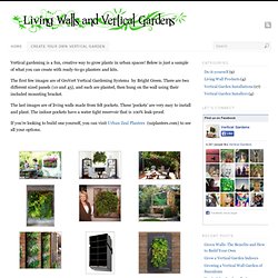 Create your own Vertical Garden - Living walls and Vertical Gardens