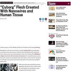 Cyborg flesh created by Harvard researchers in lab with nanowires and human tissue.