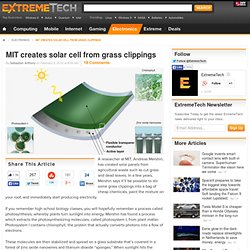 MIT creates solar cell from grass clippings