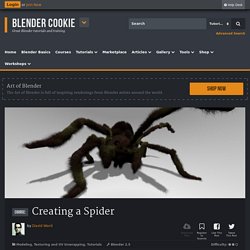 Creating a Spider