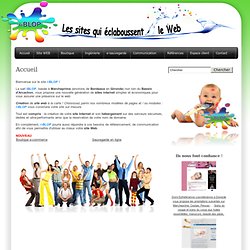 iBLOP Création de sites web - Bassin Arcachon - Gironde - Hébergement - nom domaine