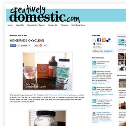 Creatively Domestic: Homemade OxyClean