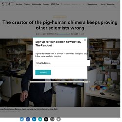 The creator of the pig-human chimera keeps proving other scientists wrong