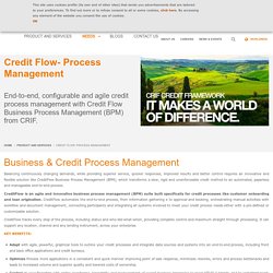 The Credit Risk Management Models transform a rigid credit process to an automated process