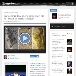 Cretaceous-Paleogene extinction did not make all creatures small - National Paeleontology