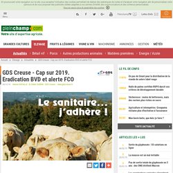 GDS Creuse - Cap sur 2019. Eradication BVD et alerte FCO, Elevage