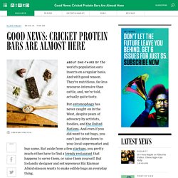 Good News: Cricket Protein Bars Are Almost Here