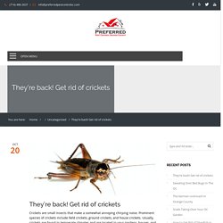 They're back! Get rid of crickets - Orange County Pest Control