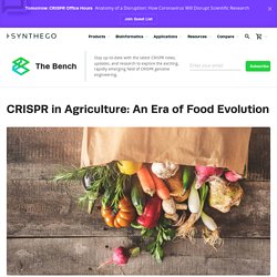 Blog - Crispr Agriculture-foods