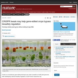 NATURE 19/10/15 CRISPR tweak may help gene-edited crops bypass biosafety regulation - Technique deletes plant genes without adding foreign DNA.