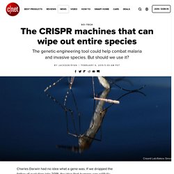 The CRISPR machines that can wipe out entire species