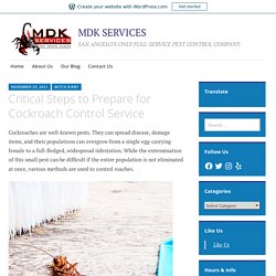 Critical Steps to Prepare for Cockroach Control Service – MDK SERVICES