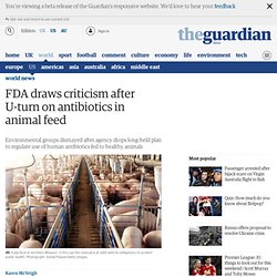 FDA draws criticism after U-turn on antibiotics in animal feed