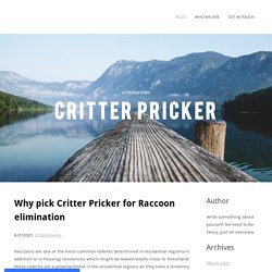 Why pick Critter Pricker for Raccoon elimination