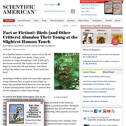 Fact or Fiction?: Birds (and Other Critters) Abandon Their Young at the Slightest Human Touch