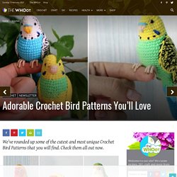 Crochet Bird Patterns Easy DIY Video