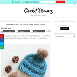 How to Crochet a Hat, Free Pattern - Crochet Dreamz