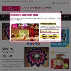 Crochet 12 Point Spectrum Afghan