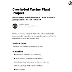 Crocheted Cactus Plant Project: Crochet this Amusing Ornament