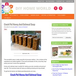 Crock Pot Honey And Oatmeal Soap
