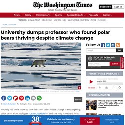 Susan Crockford fired after finding polar bears thriving despite climate change