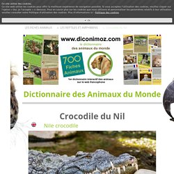Crocodile du Nil - 700 fiches animaux à découvrir