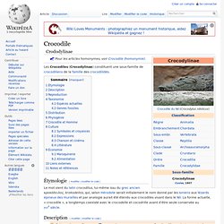 Crocodile.