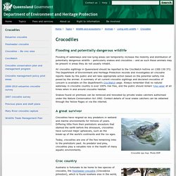 Crocodiles