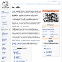 Crocodilia